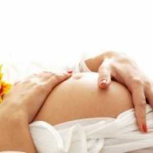 18 De săptămâni de sarcină - mărime fetale