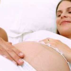 31 De săptămâni de sarcină - fetale circulație