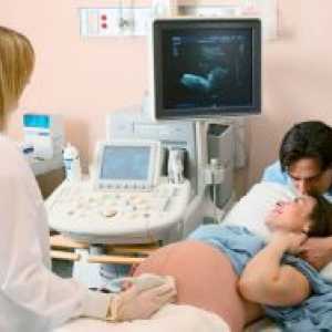 35 De săptămâni de sarcină - greutate fetală
