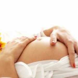 7-Lea luni de sarcină