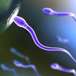 Agregarea spermatozoizii