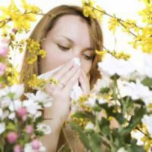 Iarbă alergie la polen