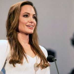 Angelina Jolie va preda la London School of Economics