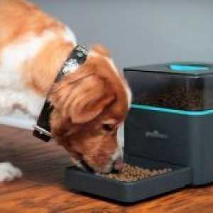 Alimentator automat pentru câini