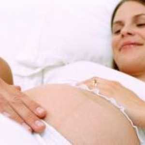Sarcina 28 săptămâni - fetale circulație