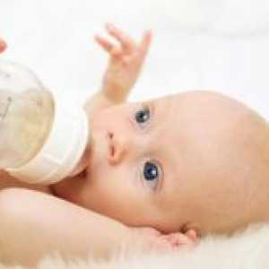 Bifidobacteria pentru nou-născuți