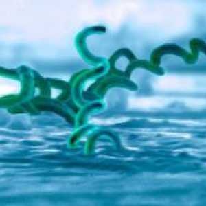 Sifilisul de uz casnic