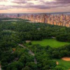 Central Park din New York City