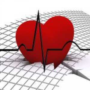 Ritmul cardiac - rata
