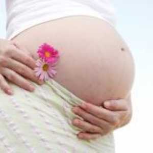 Cum de a vindeca drojdie infecție în timpul sarcinii?