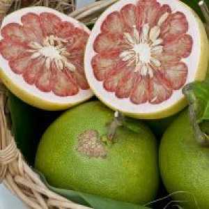 Cum fructe pomelo util?