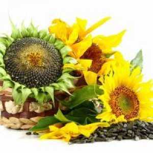 Cât de util semințe de floarea-soarelui prăjite?
