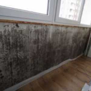 Cum de a elimina mucegaiul de pereții din apartament?