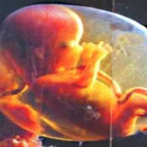 Ce este hipoxia fetală?