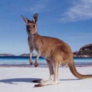 Turistic Australia