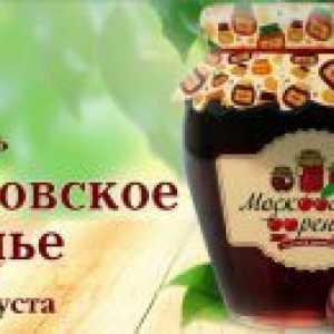 Festivalul de la Moscova Jam