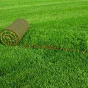 Rulouri de gazon de iarbă