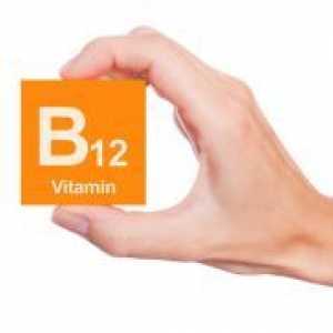 Care conține vitamina B12?