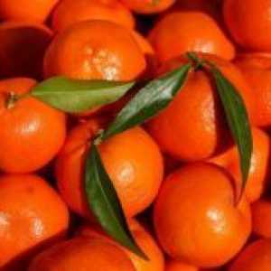 Hibrid de portocale și mandarine