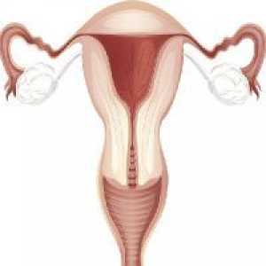 Hipoplazie uterin