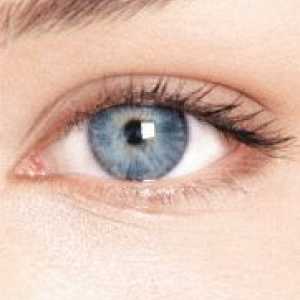 Solkoseril Eye Gel