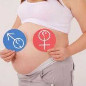 Hormonii în timpul sarcinii