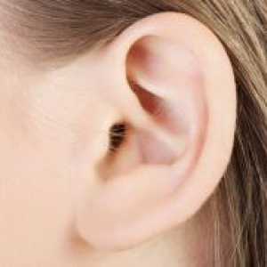 Ciuperca în urechi - tratament