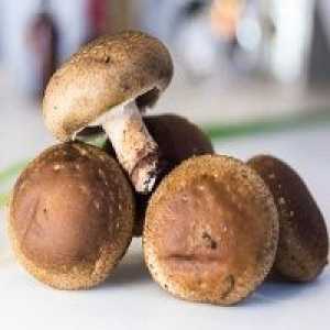 Ciuperci Shiitake - rețete