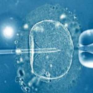 Eclozare embrioni