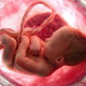 Pe măsură ce copilul respiră în uter?