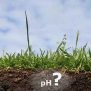 Cum se determină aciditatea solului?
