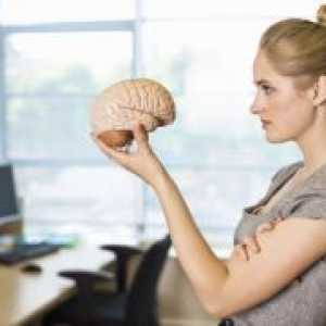 Cum de a instrui creierul?