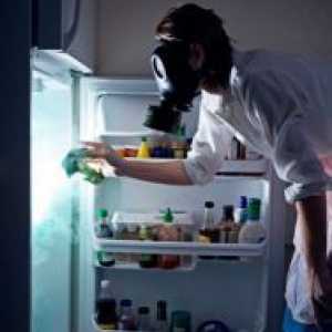 Cum de a elimina mirosul din frigider?