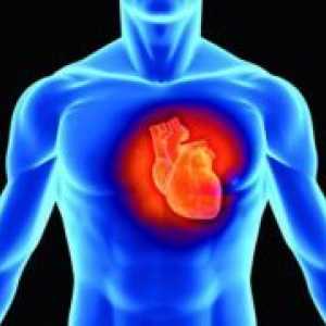 Cum de a întări inima și vasele de sânge?