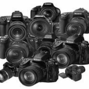 Cum de a alege un aparat de fotografiat lentilă reflex?