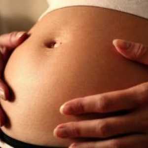 Cum să obțineți gravidă cu gemeni?