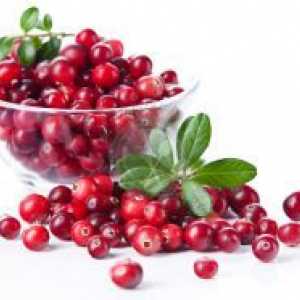 Cranberry - proprietăți utile și contraindicații