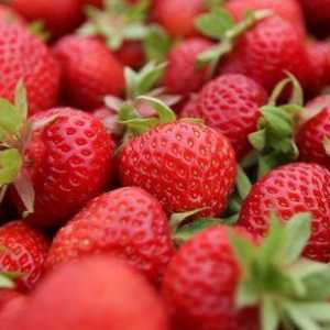 Strawberry Sarcina - 3 Trimestru