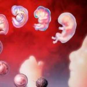 Cand un embrion implantare?