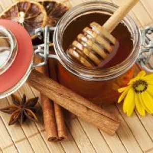 Scorțișoară și miere - proprietăți utile și contraindicații