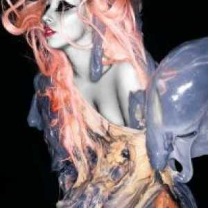 Costume Lady Gaga
