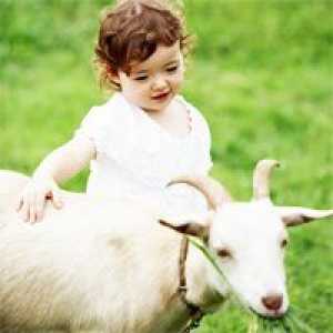 Laptele de capra pentru copii