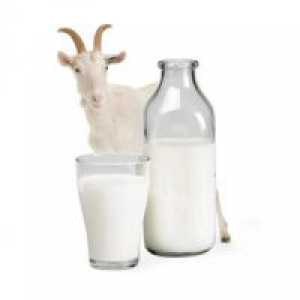 Lapte de capră - beneficiile