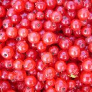 Red currant - beneficii