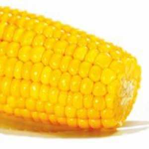 Corn - proprietăți utile