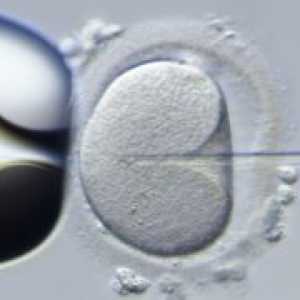 De embrioni