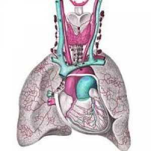 Hipertensiunea pulmonară - Tratamentul
