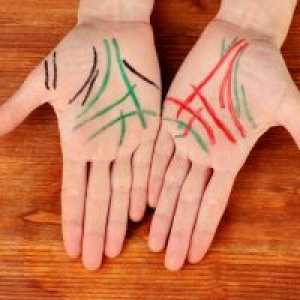 Liniile de pe palmele - valoarea mâinii stângi