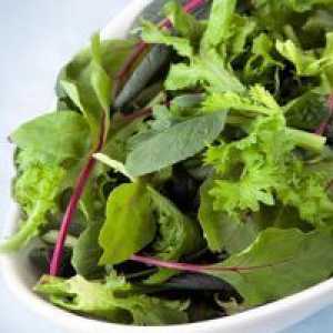 Salata verde - beneficii si Harms