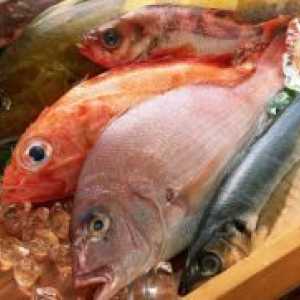 Pește gras - avantaje și prejudicii